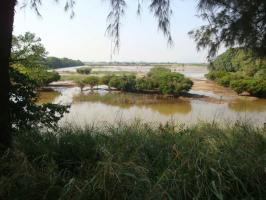 Mai Po Wetland Nature Reserve Glimpse